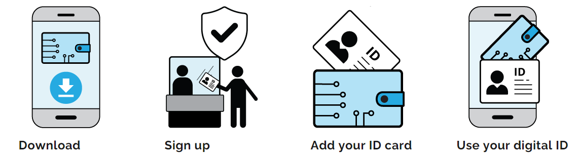 Graphic from the Ontario Digital Service showcasing how digital ID works: Download, sign up, add your ID card, and use your digital ID. 