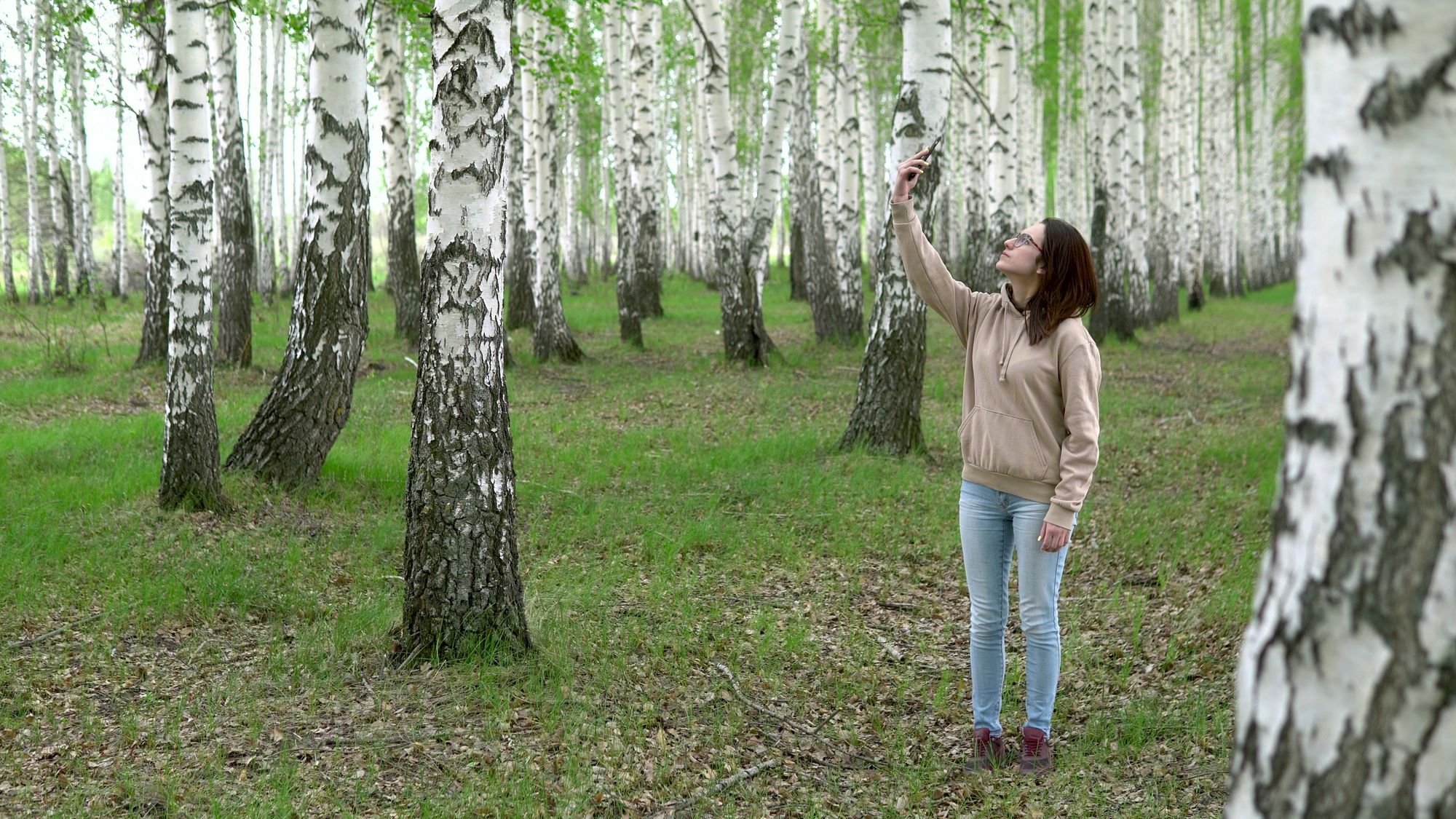 A person looking for a cellular signal in a birch forest.